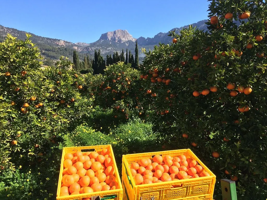 Finca Cas Sant Soller 0*,  Spain