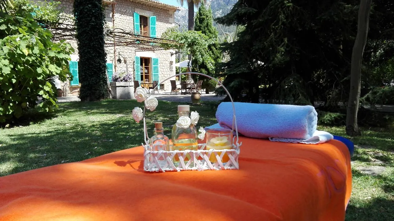 Farm stay Finca Cas Sant Soller