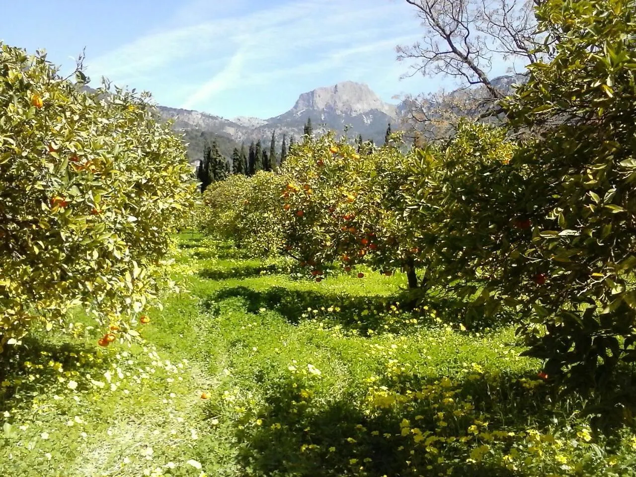 Farm stay Finca Cas Sant Soller Spain