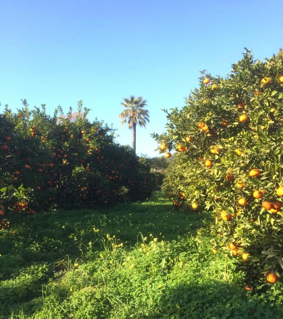 Finca Cas Sant Soller 0*,  Spain